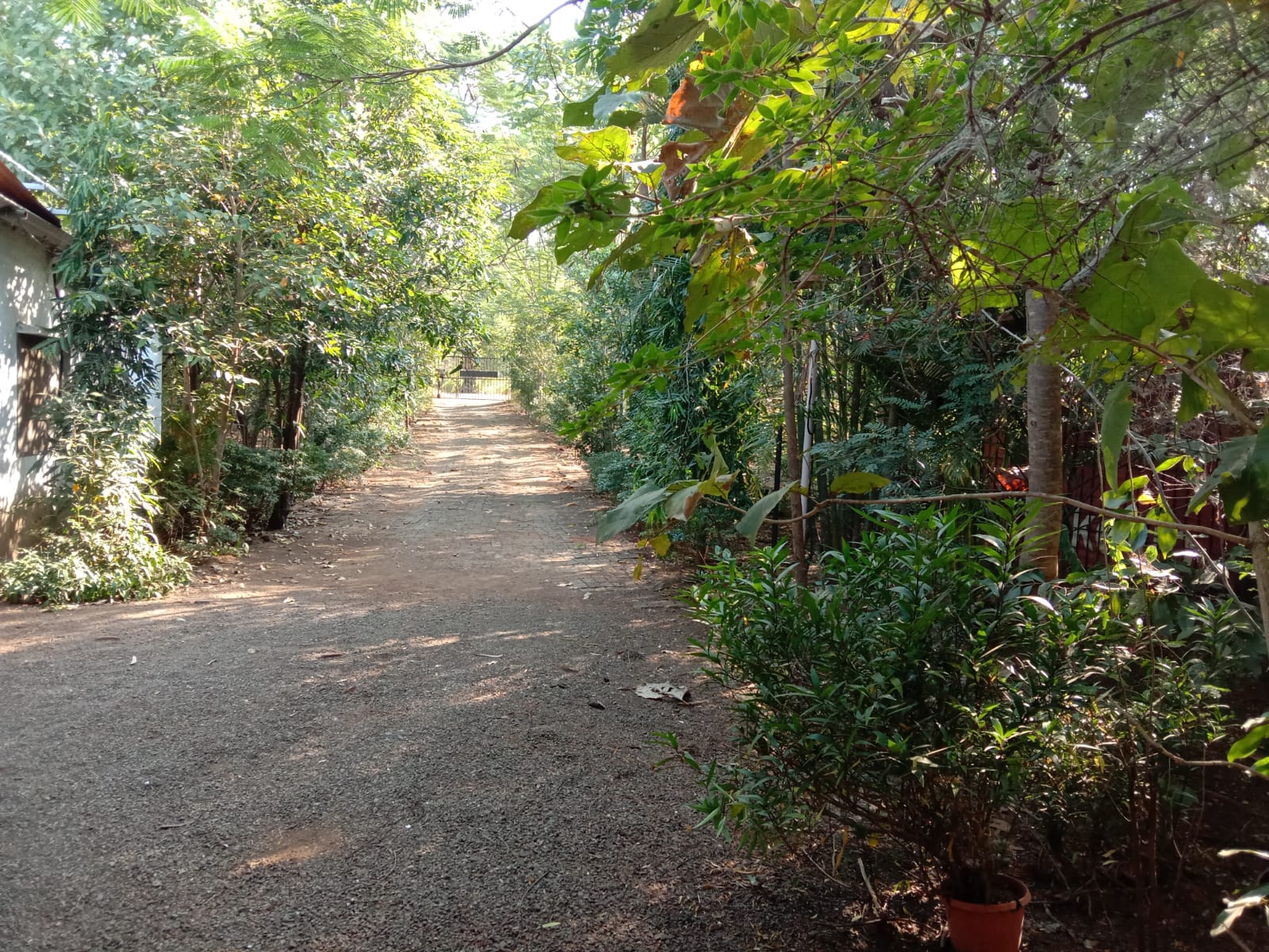 WhatsApp Image 2021-12-08 at 6.52.29 AM (1)