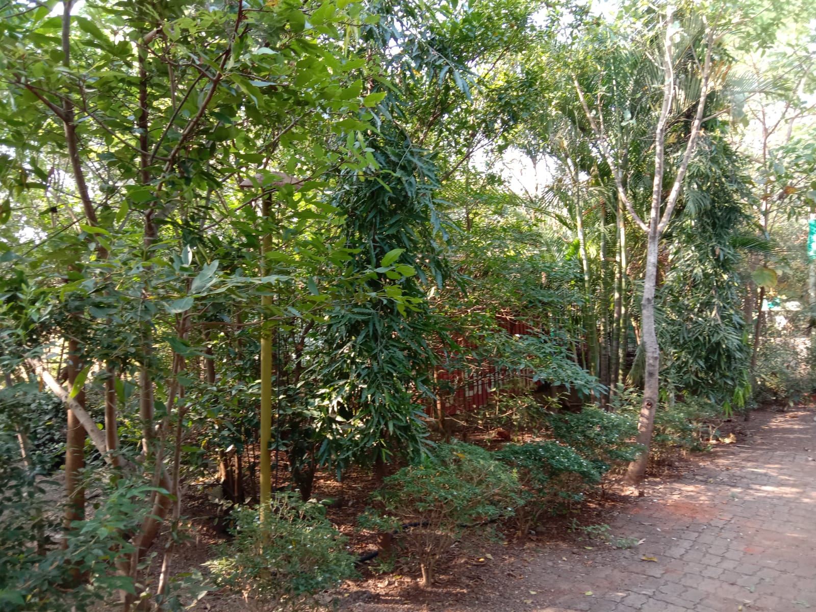 WhatsApp Image 2021-12-08 at 6.52.34 AM (1)