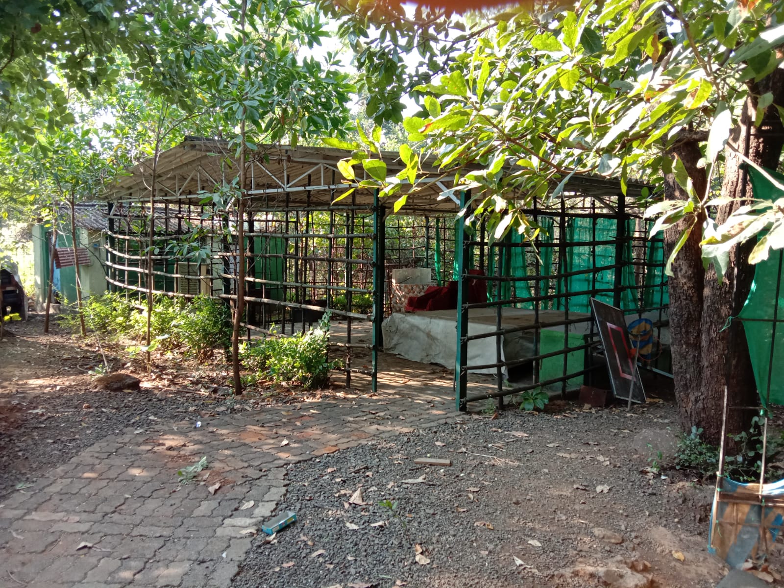 WhatsApp Image 2021-12-08 at 6.52.35 AM